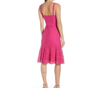 chelsea28 lace dress